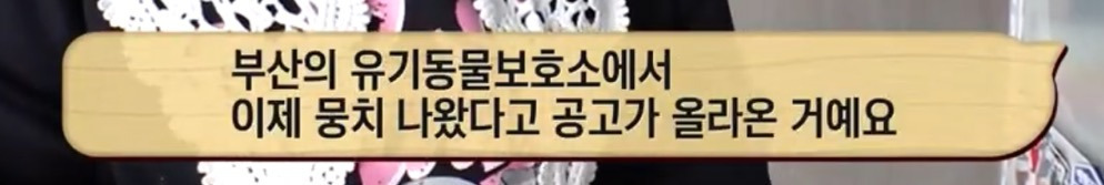 따봉고슴도치 휴지심 좋아도치 | 인스티즈