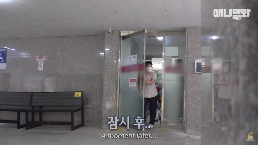 1년만에 자신을 두고 간 주인을 만난 강아지 반응 | 인스티즈