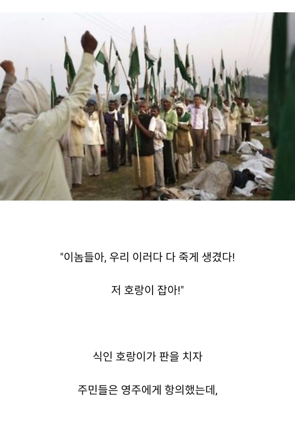 인도와 네팔을 다니며 약 400여명을 죽인 호랑이 | 인스티즈