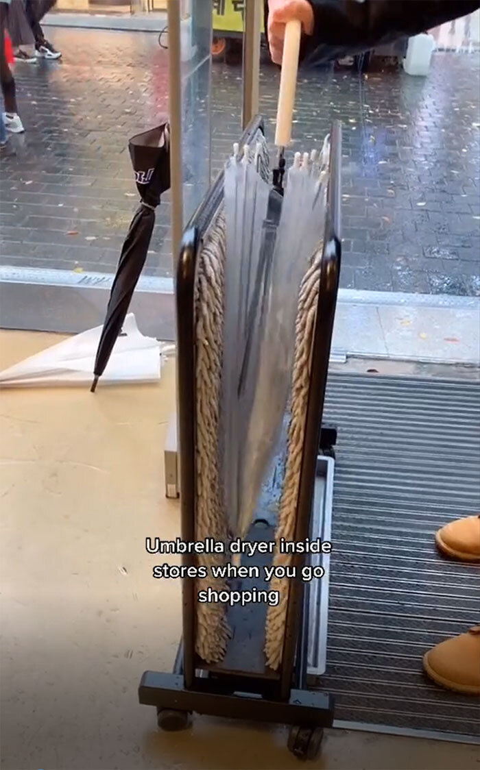 외국인 틱톡커가 공유한 한국에서 볼 수 있는 흥미로운 것들.jpg | 인스티즈