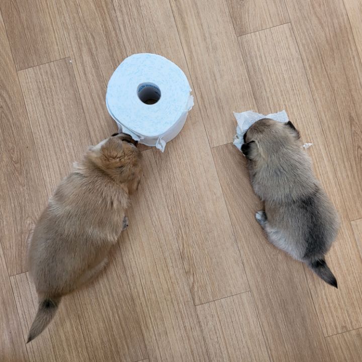 (공지라니... ++추가)새로생긴 회사 복지.. 미쳐서 도저히 일을 못하겠네.. (추가....)++추가 | 인스티즈