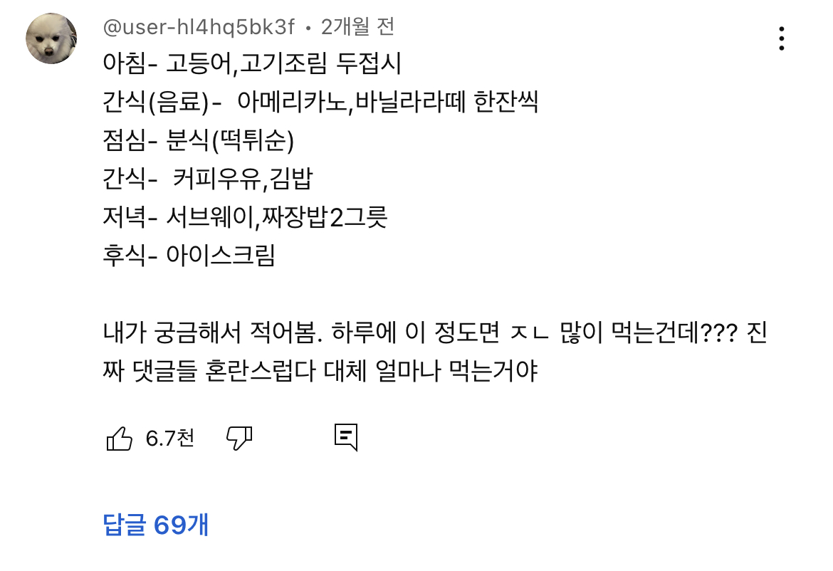 대식가다 아니다 논란 난 유튜브 영상 | 인스티즈