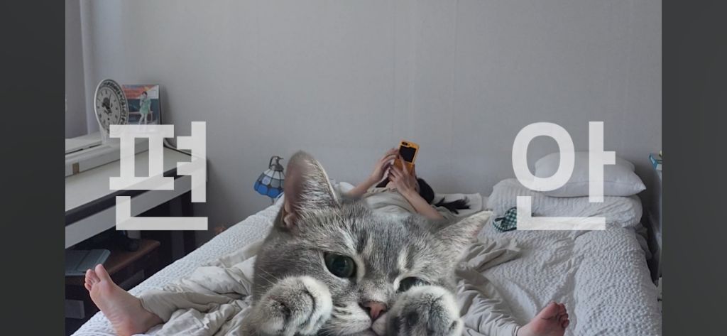 프리랜서 여성의 출퇴근 8번하는 브이로그 | 인스티즈