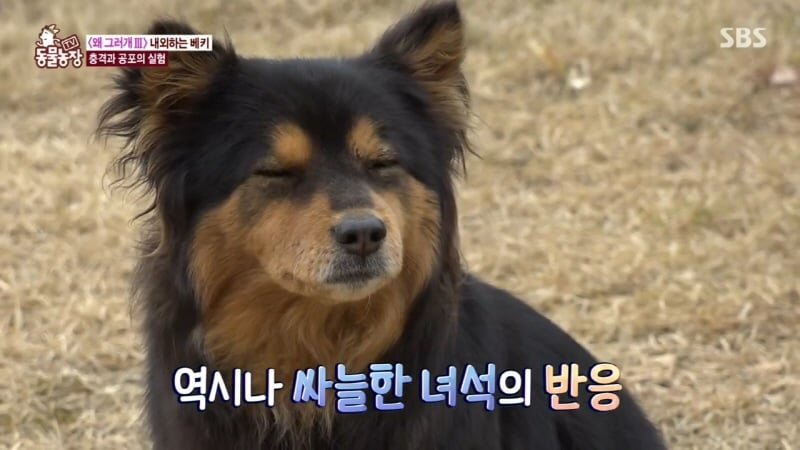 노래 부를 때마다 저러길래 감상하는 줄 알았지.twt | 인스티즈