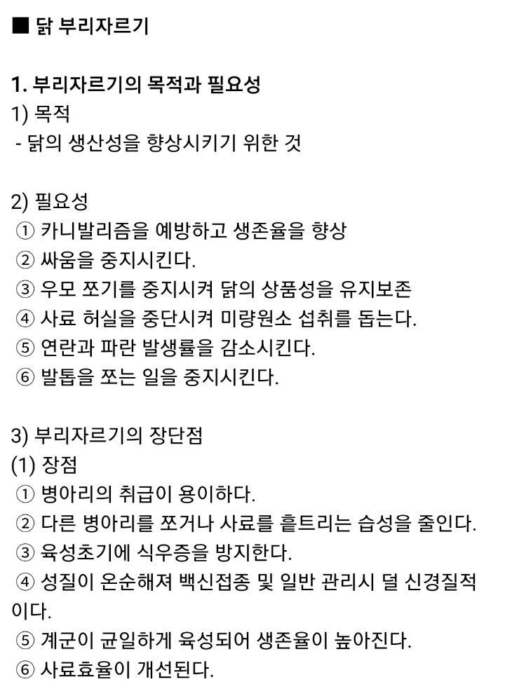 병아리 부리 불로 지지는 이유 | 인스티즈