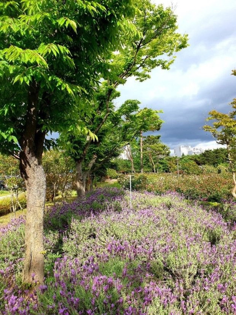 광주광역시 시청이 이 모양으로 지어진 이유 | 인스티즈