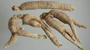 고려인삼과 미국삼의 차이를 알아보자 | 인스티즈