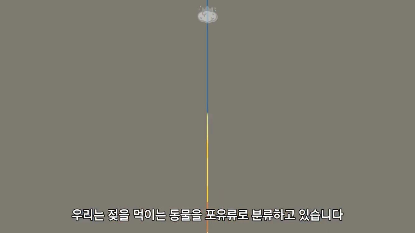 거리에 비둘기가 이렇게 많은데 왜 새끼 비둘기는 안 보일까? | 인스티즈