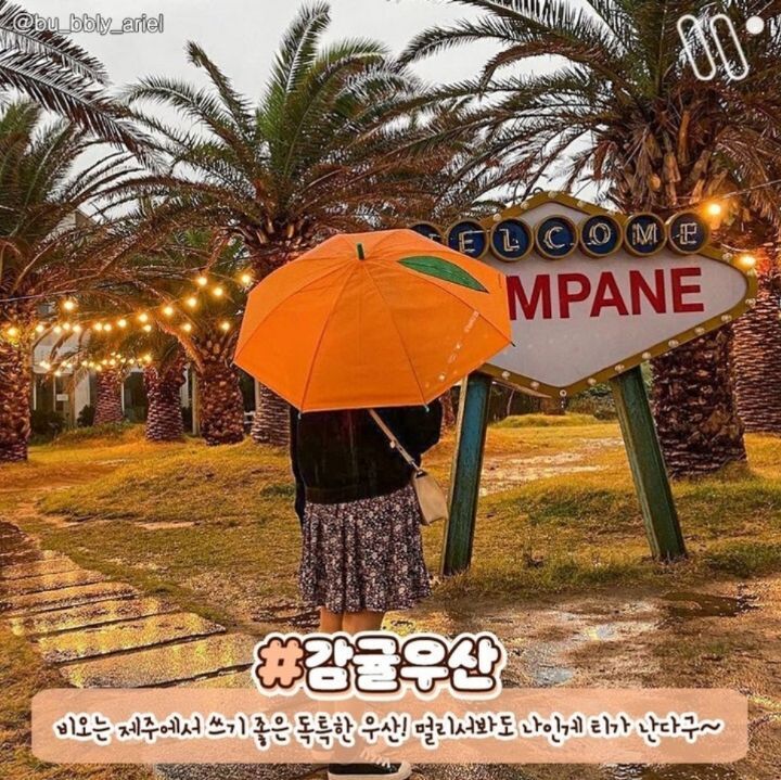 제주도 감귤 아이템🍊.jpg | 인스티즈