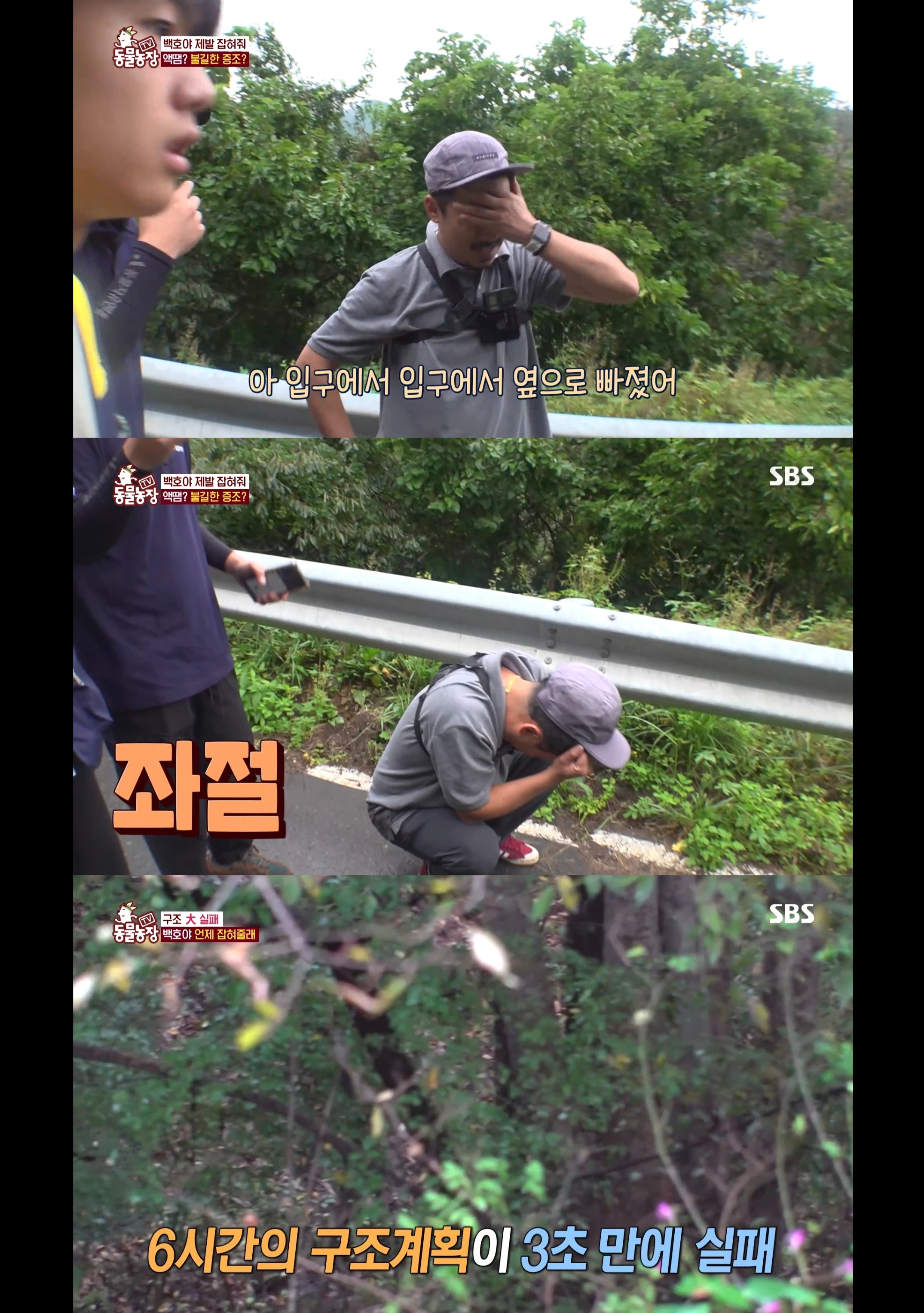 개가 너무 똑똑해서 역대급으로 구조 힘들었던 이번주 동물농장 방송.jpg | 인스티즈