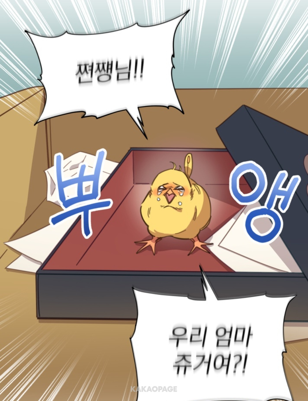 ㅇㅌ 저는 수의산데 용을 진료 하라구요??? | 인스티즈