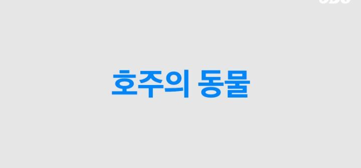 호주인들 국뽕차게 만든 ODG 호주 소개컨텐츠 (애기들 데리고 찍는거) | 인스티즈