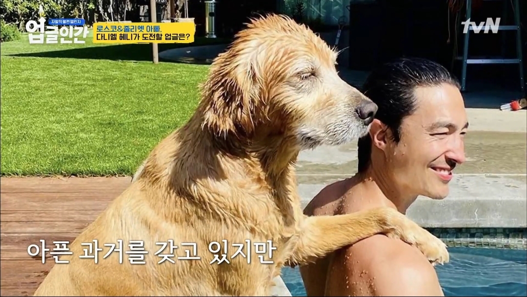 식용견 농장에서 구출된 다니엘 헤니의 강아지 로스코, 줄리엣 | 인스티즈