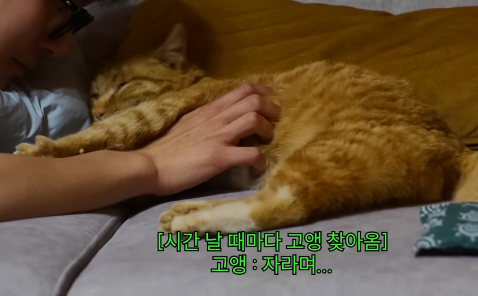 치즈냥(윤옥) 귀여워서 죽을거같은 몬스타엑스 자컨 | 인스티즈