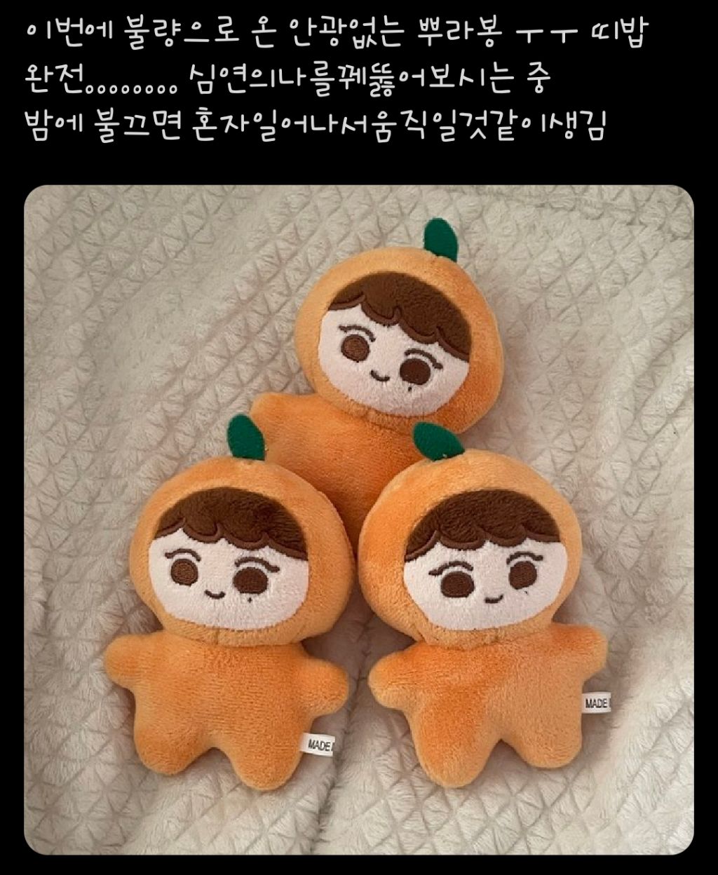 인형 불량이 났는데 오히려 본체랑 똑닮았음.jpg | 인스티즈