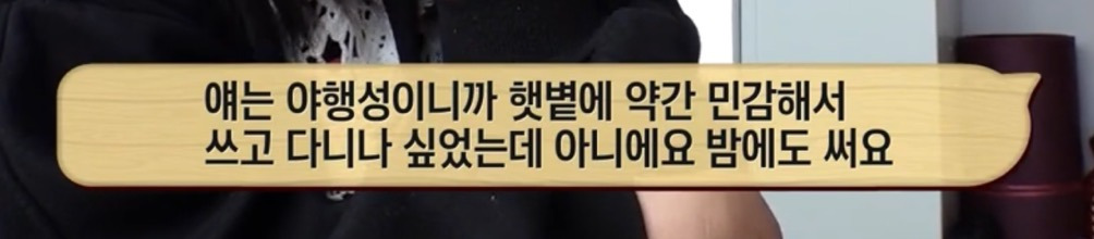 따봉고슴도치 휴지심 좋아도치 | 인스티즈