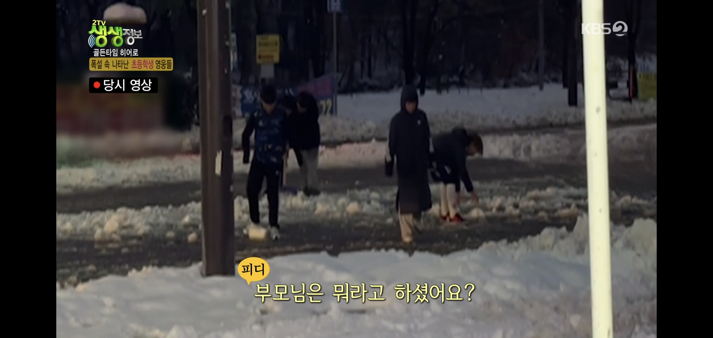 방금 생생정보통에 저번 폭설에 이슈였던 여시 나옴.jpg | 인스티즈