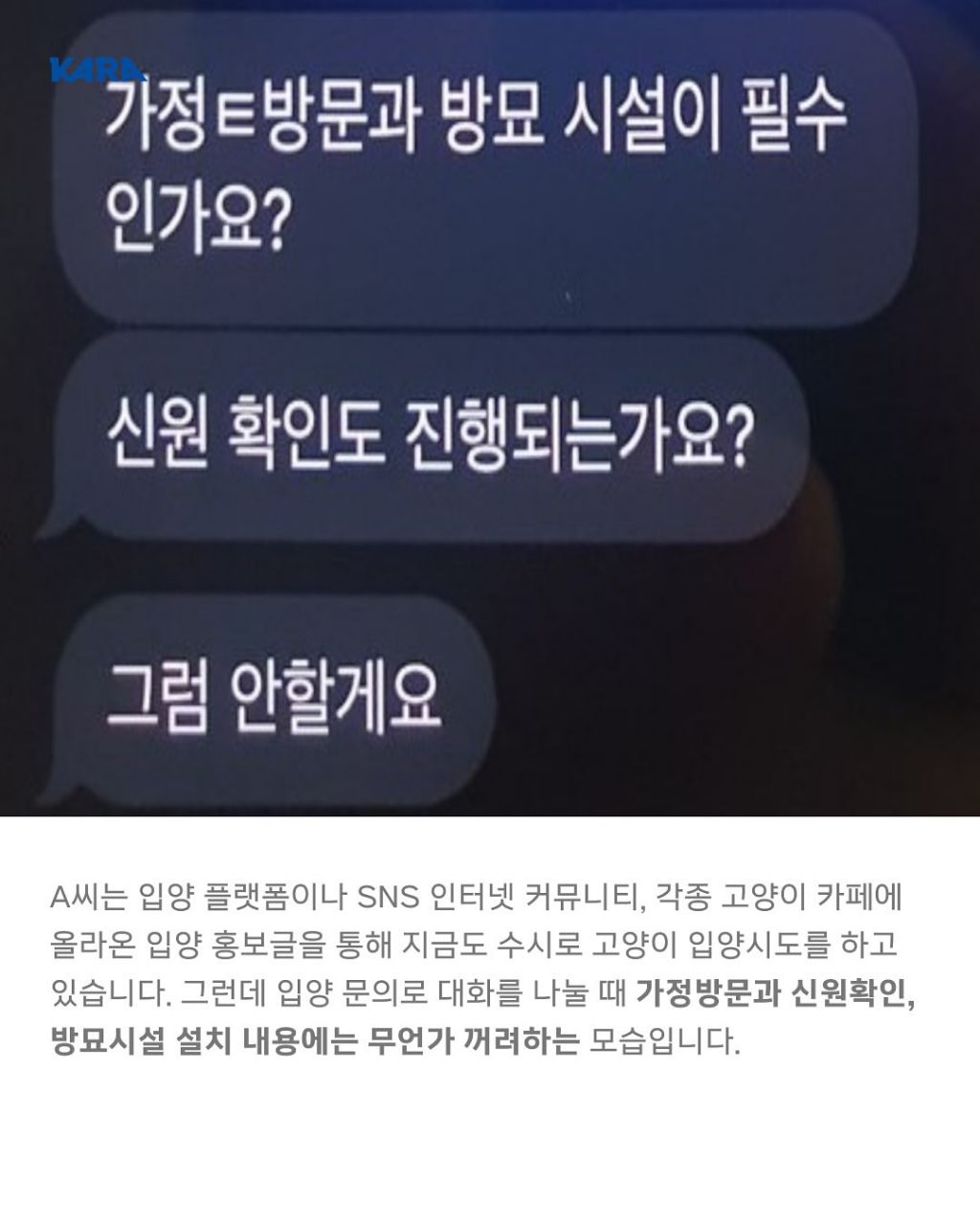 급)))부천에 입양가서 생사 안되는 고양이들이 있어요 제보받습니다 | 인스티즈