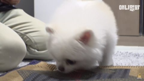 밤낮없이 집 도어락을 누르는 누군가때문에 고민인 부부 | 인스티즈