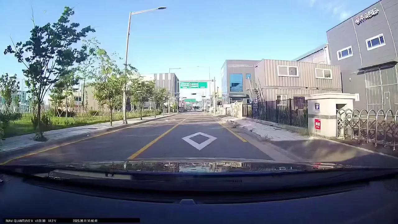 신호 다 지켰는데 개억울 | 인스티즈