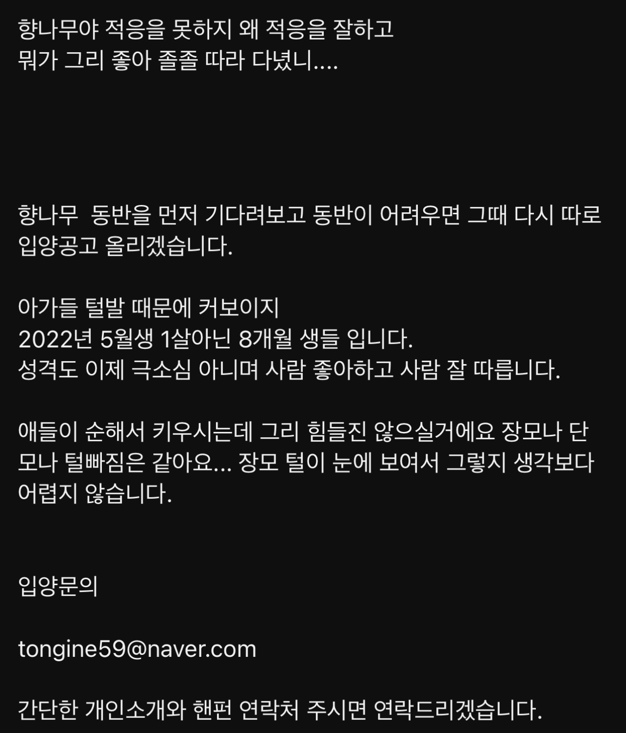 구조된 고양이가 입양갔는데 사람을 너무 잘 따른다는 이유로 파양됨 | 인스티즈