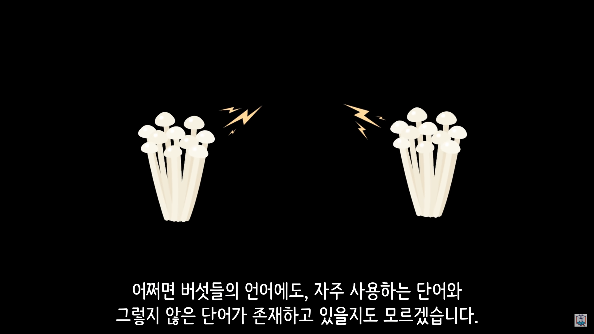 버섯이 단어와 문장을 사용해 서로 대화하고 있을지도 모른다고? | 인스티즈