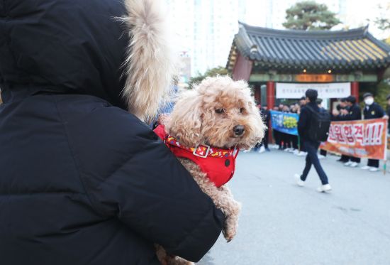 올해도 기대되는 '수능 강아지' 모음 | 인스티즈