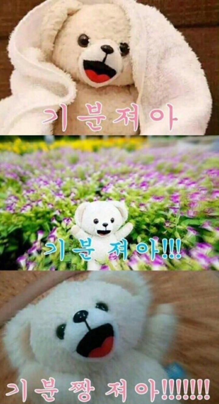 힘 나는 글 | 인스티즈