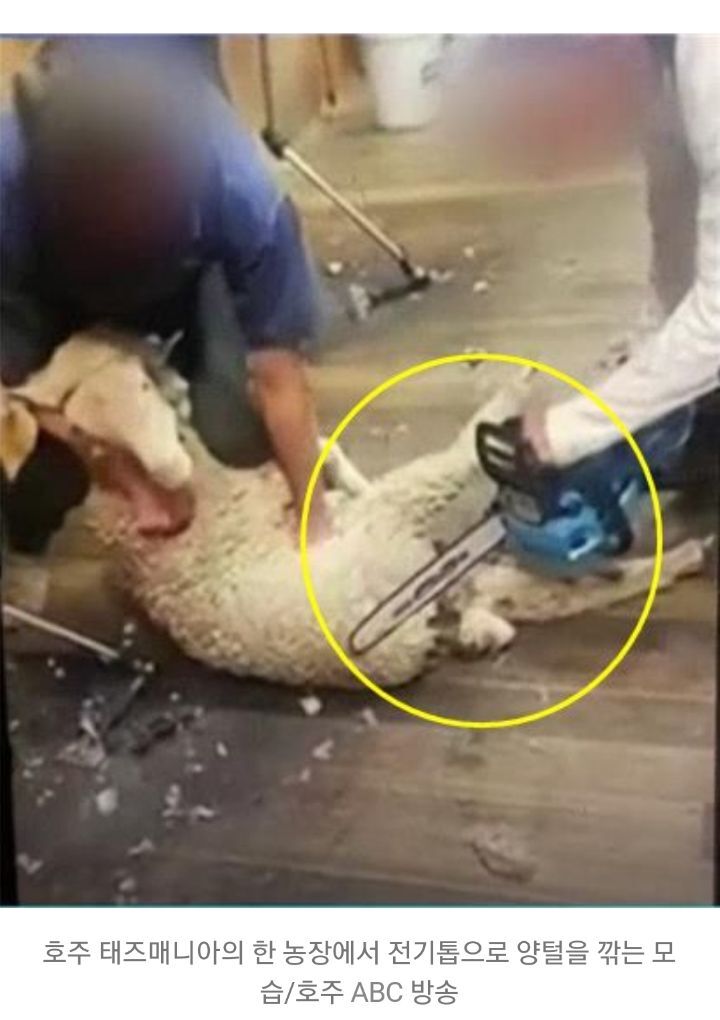 일부 사람들이 어그부츠 안 신는 이유 | 인스티즈