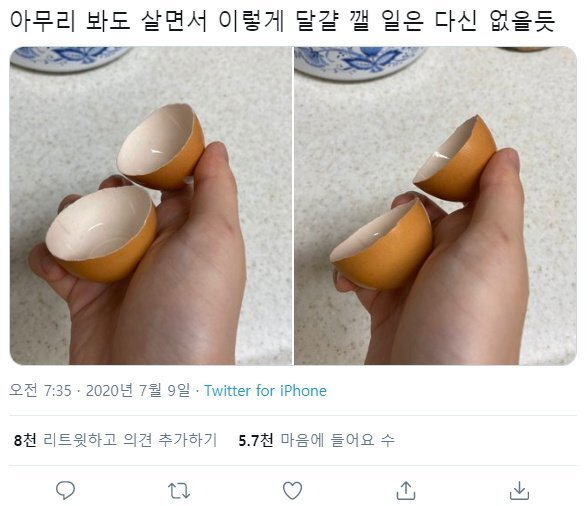 재밌고 귀여운 고전 트위터짤 모음집.jpg | 인스티즈