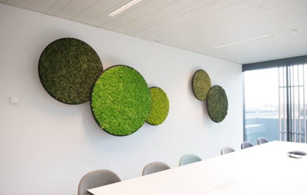 아니 누가 대체 이끼를 돈 주고 사서 인테리어 제품으로 씀?; | 인스티즈