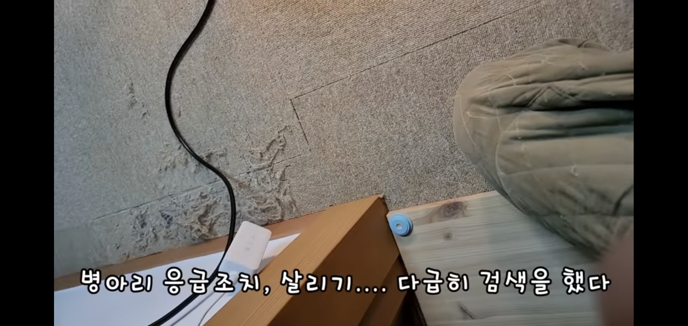 오늘자 폭력적이고 불쌍한 영상 올린 유튜버 매탈남.jpg | 인스티즈