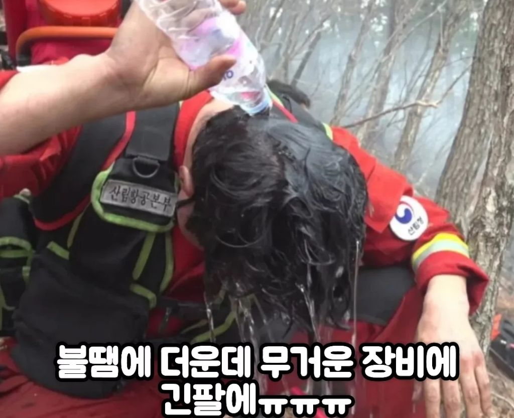 모든 국회의원들이 꼭 봤으면 하는 지쳐쓰러진 대원들 | 인스티즈