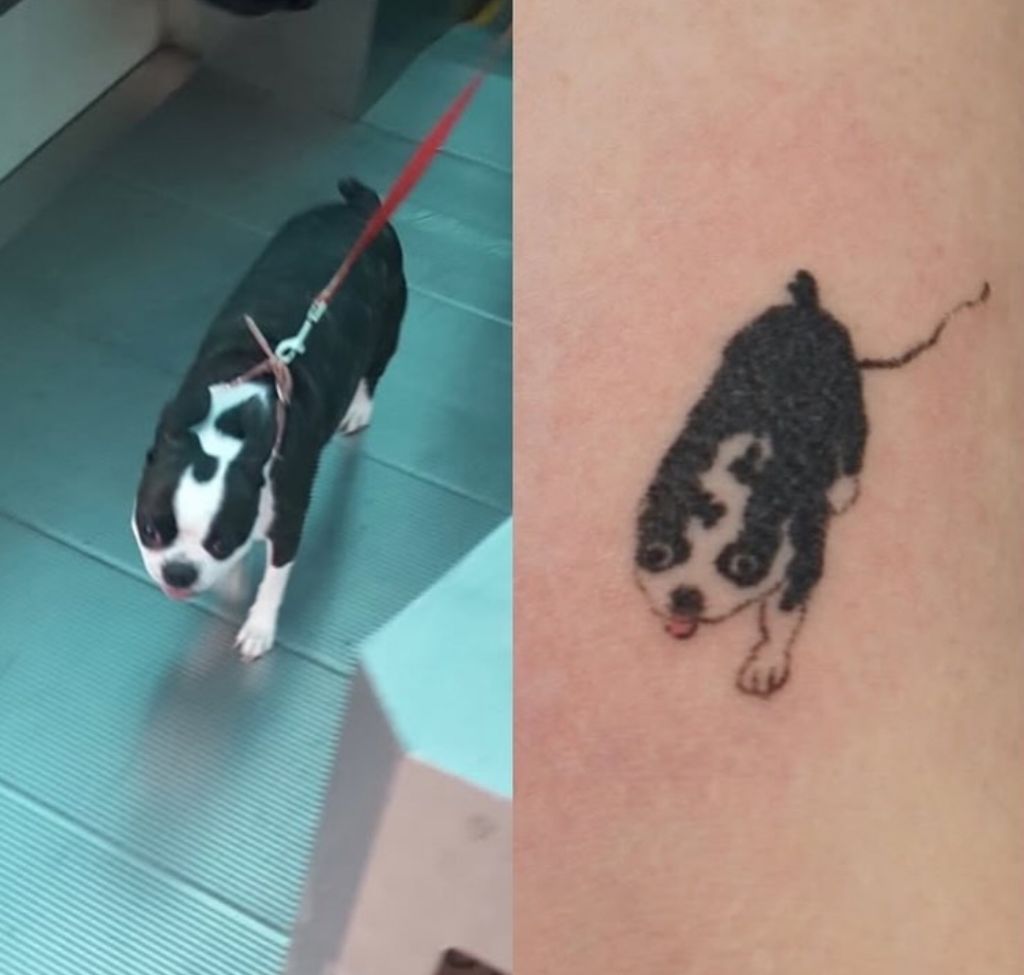 애매한데 비슷한 느좋 동물 타투들 | 인스티즈