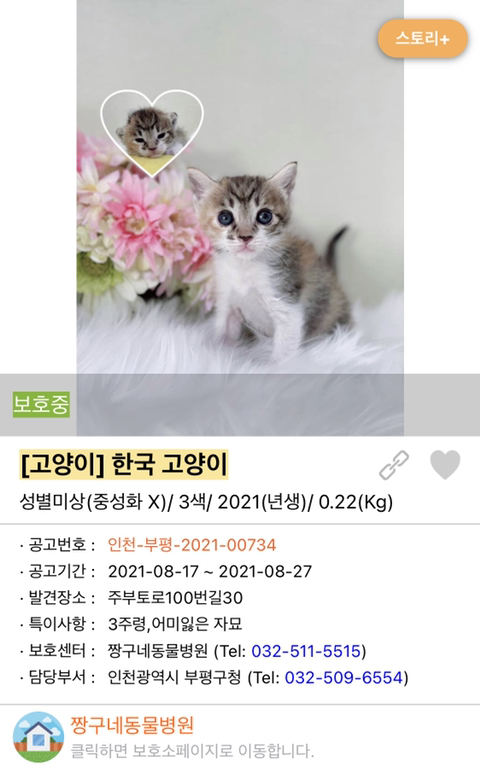 사랑이 느껴지는 포인핸드의 담당자들 | 인스티즈