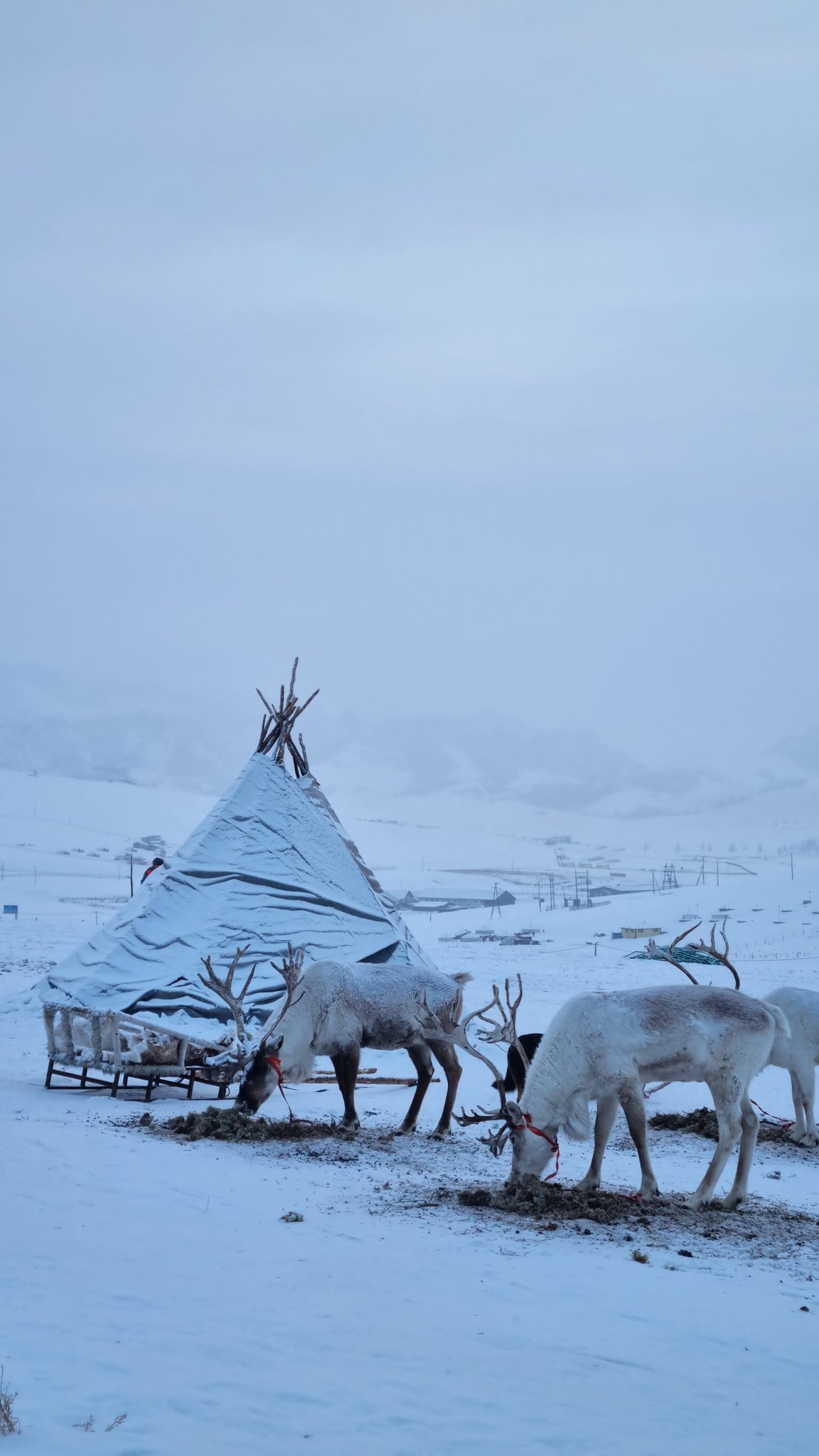몽골에 가면 생각 정리 하게 돼서 참 좋아.twt | 인스티즈