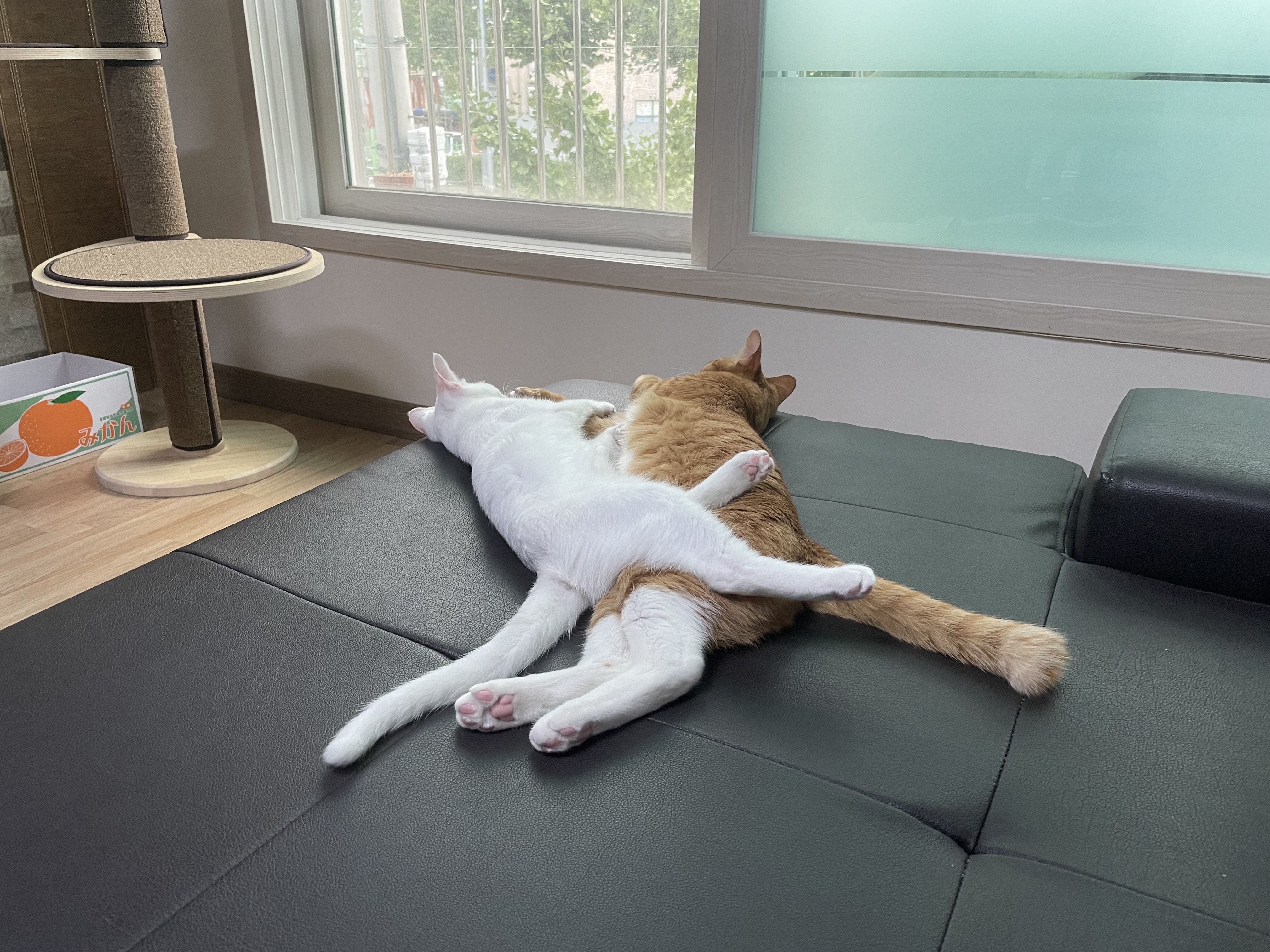 가... | 인스티즈