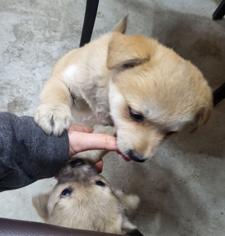 (공지라니... ++추가)새로생긴 회사 복지.. 미쳐서 도저히 일을 못하겠네.. (추가....)++추가 | 인스티즈