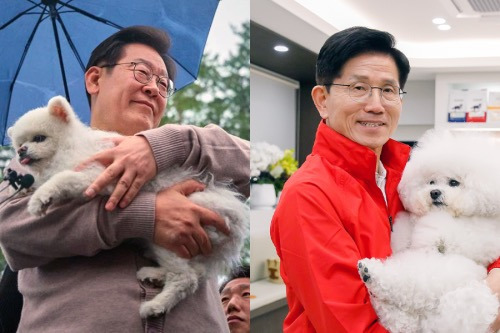 이재명 김문수로 보는 올바르게 강아지 안는 방법 | 인스티즈