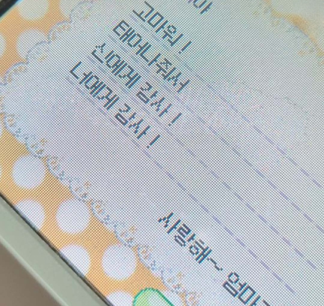 동물의 숲 명언, 위로 글 | 인스티즈