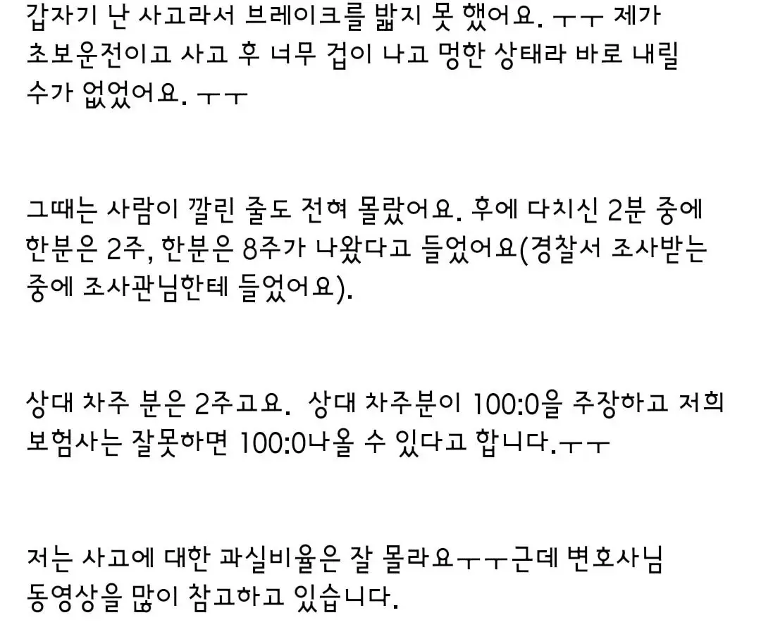 초보운전이라서 브레이크못밟았다는 영상 제보한거보고 열받아서 피해자 가족이 올린글 | 인스티즈