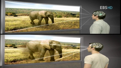 동양인 서양인 관점의 차이 | 인스티즈