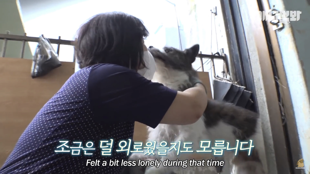 1년만에 자신을 두고 간 주인을 만난 강아지 반응 | 인스티즈