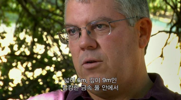 어느날 소방서에 고래가 조련사를 잡아 먹었다는 신고가 들어왔다 .jpg (스압주의) | 인스티즈