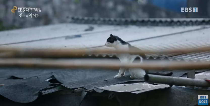 자극적 영상이 많아진 요즘, 안보면 후회하는 글 | 인스티즈