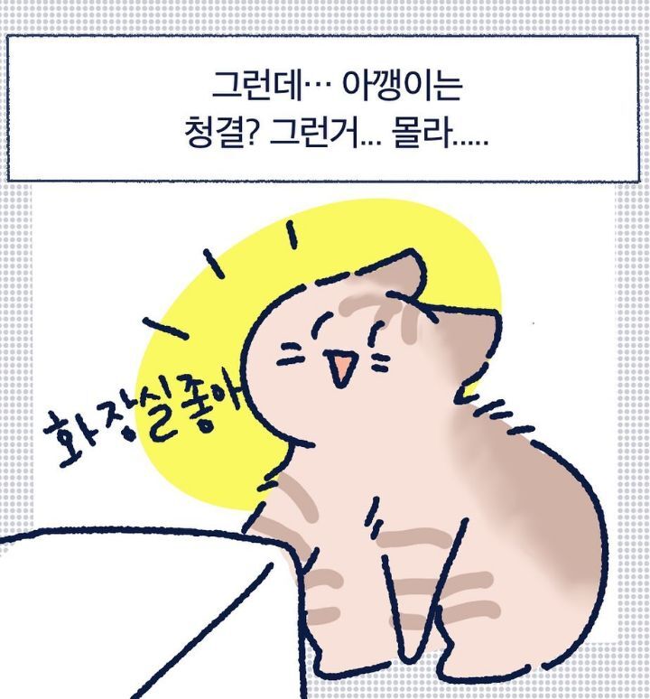 아깽이들은 왜...? | 인스티즈
