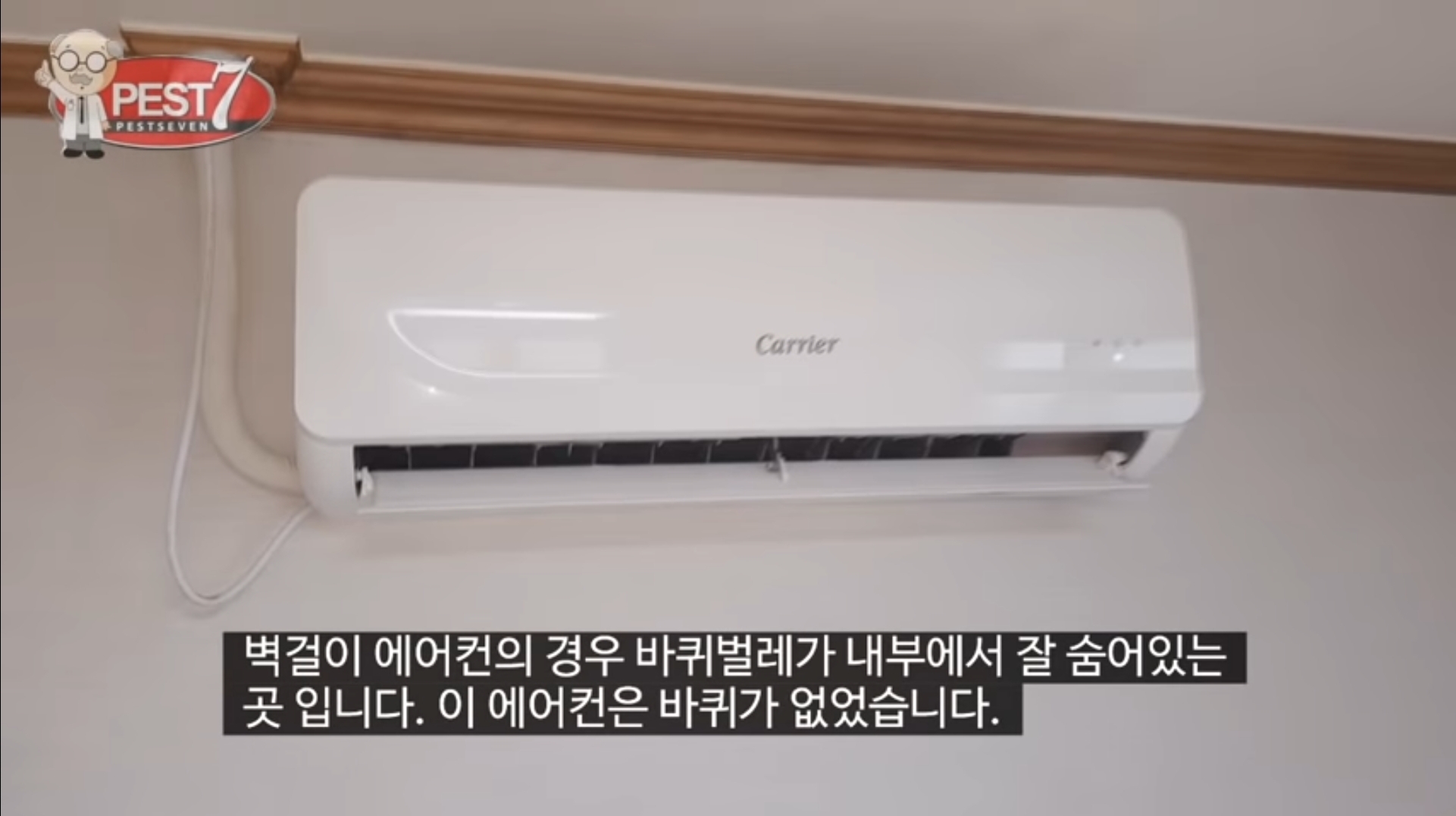 원룸 바퀴벌레 주요 유입구(벌레사진주의) | 인스티즈