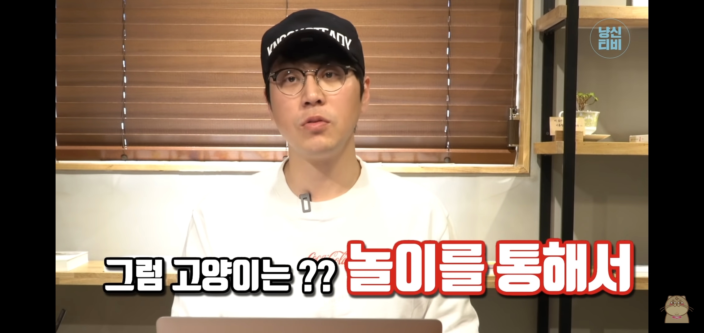 고양이 산책? 하지마!!!!! | 인스티즈