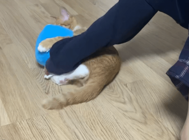 가... | 인스티즈