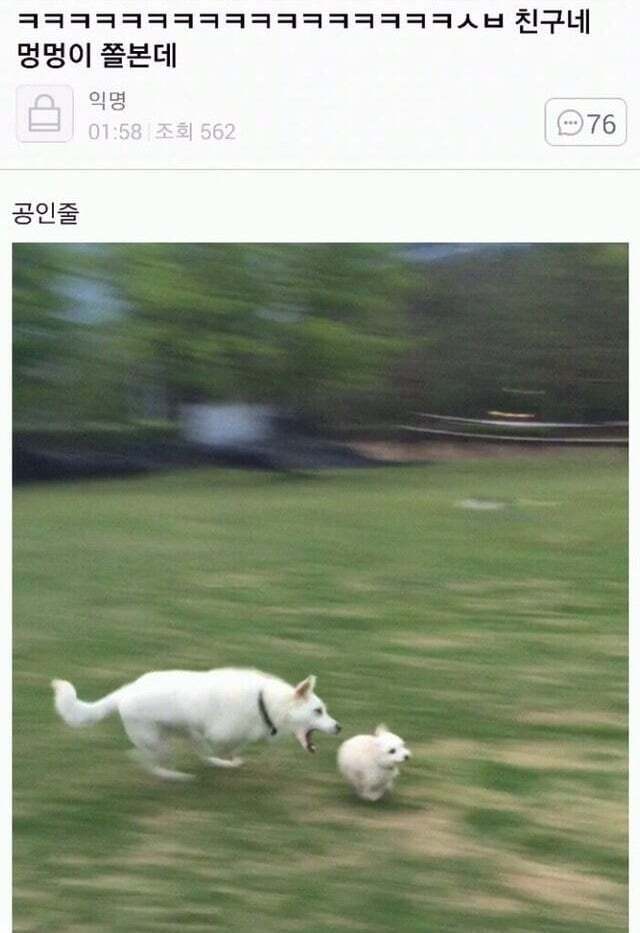 아빠가 개새랑 외출했다고 사진 보내줌 | 인스티즈